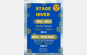 Stage M15/M18-M21 